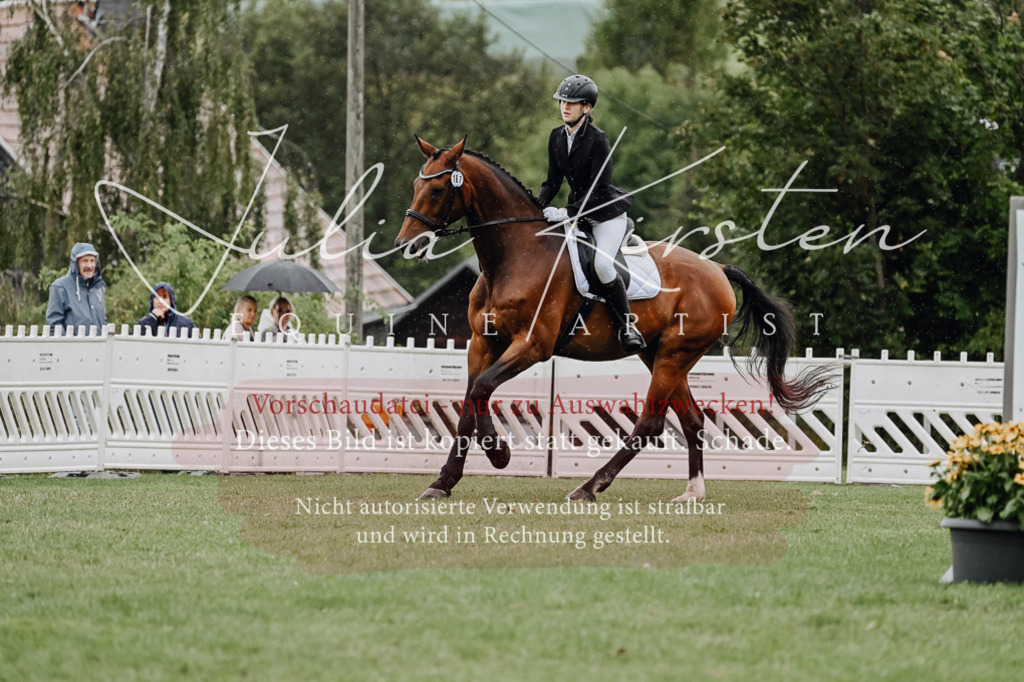 DSC_7028 | Pferde- und Turnierfotografie in Westsachsen. Pferdeportraits, Auftragszeichnungen und intuitive Kunst.