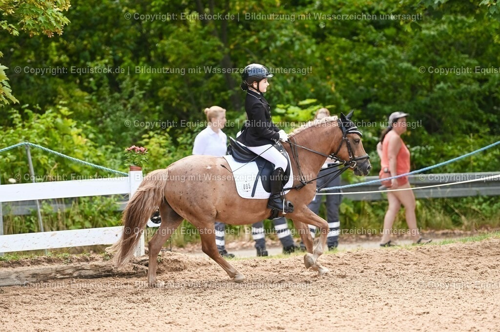 20230716_10-3_Reiter-WB Schritt - Trab - Galopp_0182 | equistock