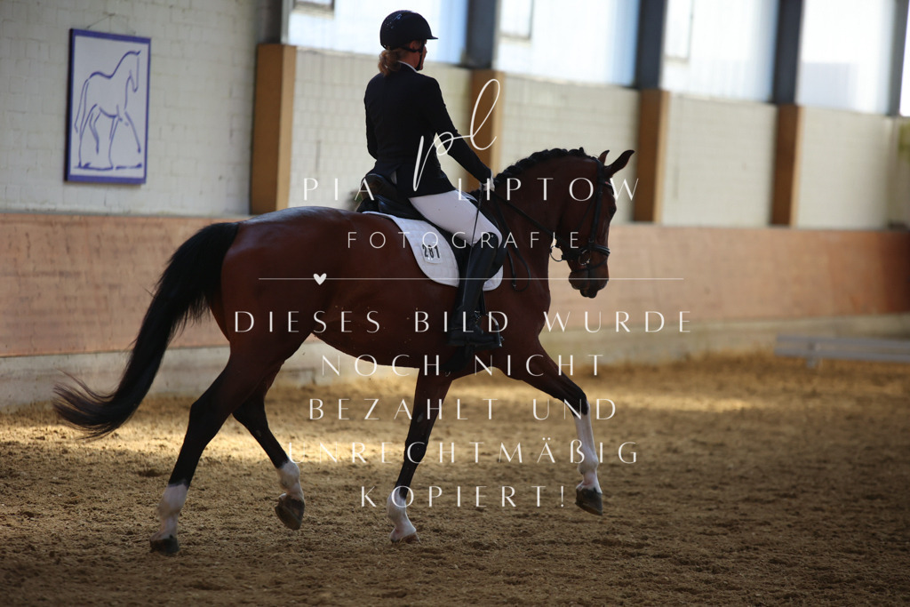 IMGT6996 | pl-fotografie