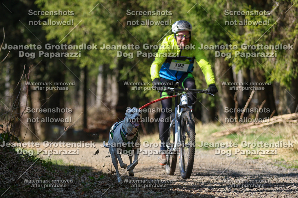 Dog Paparazzi - VCC26-191 | Dog Paparazzi Jeanette Grottendiek Fotografie & Videografie - Realisiert mit Pictrs.com