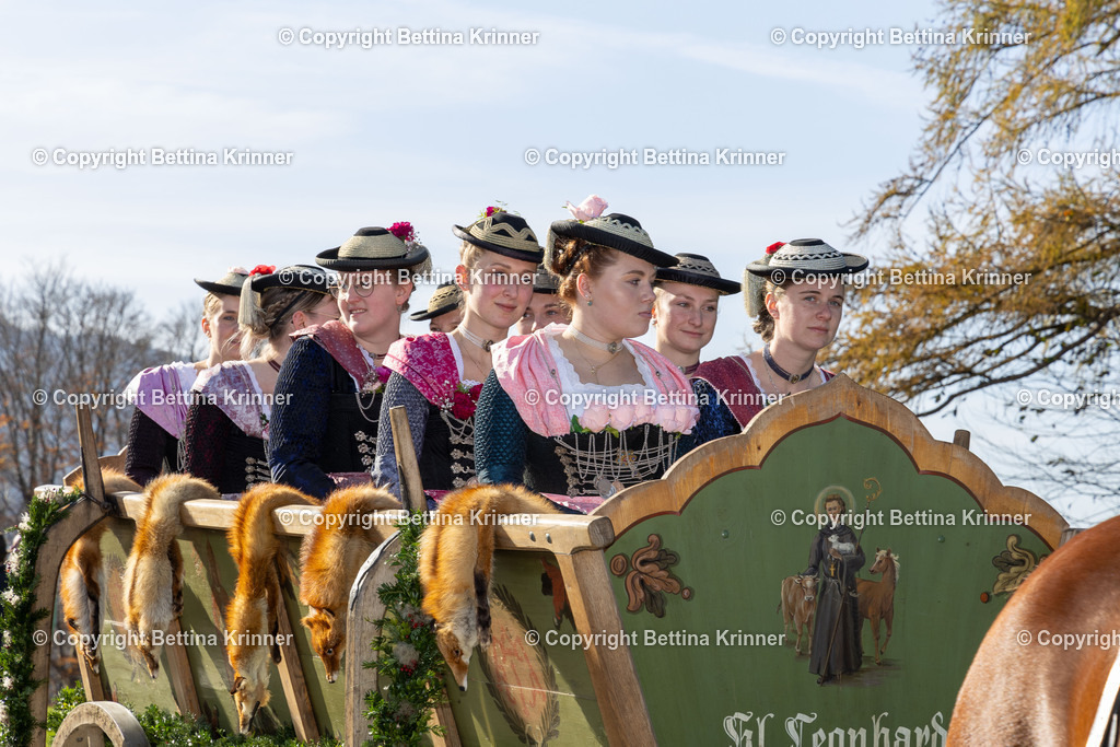 LBT24-1481 | foto-bettina-krinner - Realisiert mit Pictrs.com