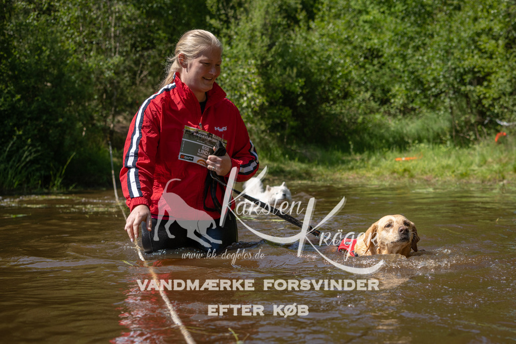 1518DKK992921 | kk-dogfotos