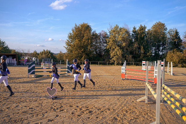 NZF_9086 | Professionelle Reitsport-, Turnier- und Eventfotografie von Robert Broda. Galerien mit ausgewählten und bearbeiteten Bildern direkt online ansehen und bestellen.