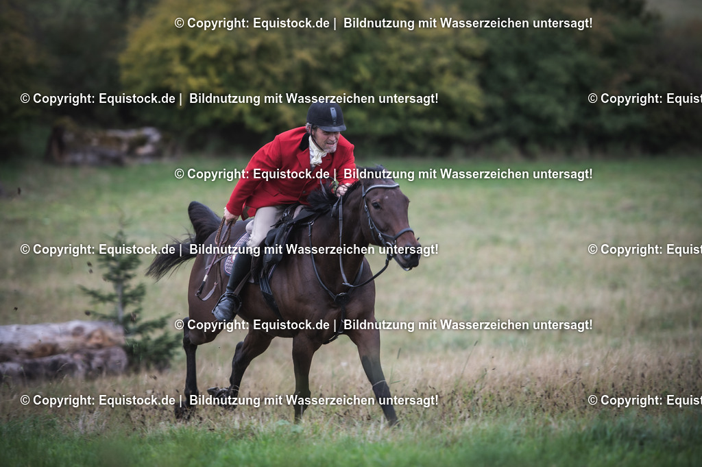 20241013_Jagd-Marbach_0293 | Foto: Thomas Hartig
