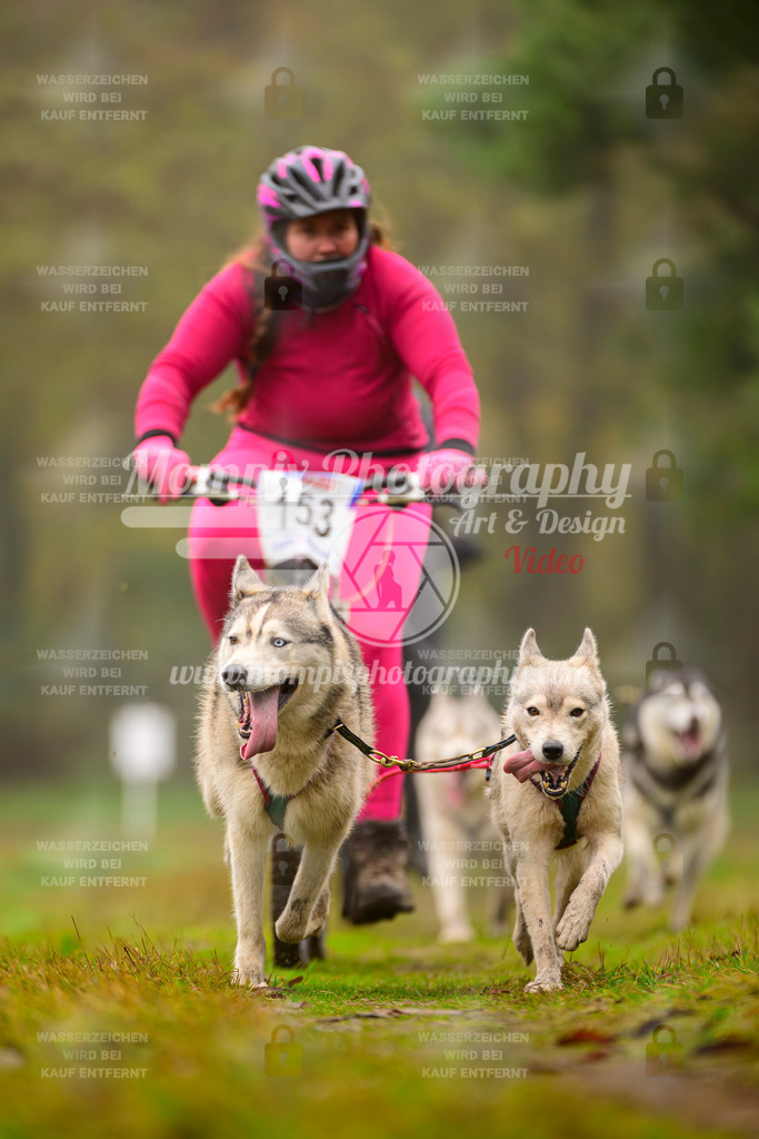 MompixPhotography_Bischwiller2025_Bike-149 | mompixphotography