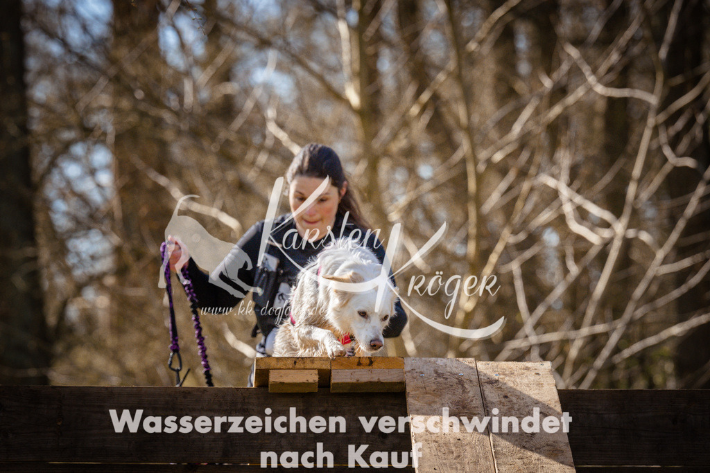 0907_ZZ93715 | kk-dogfotos