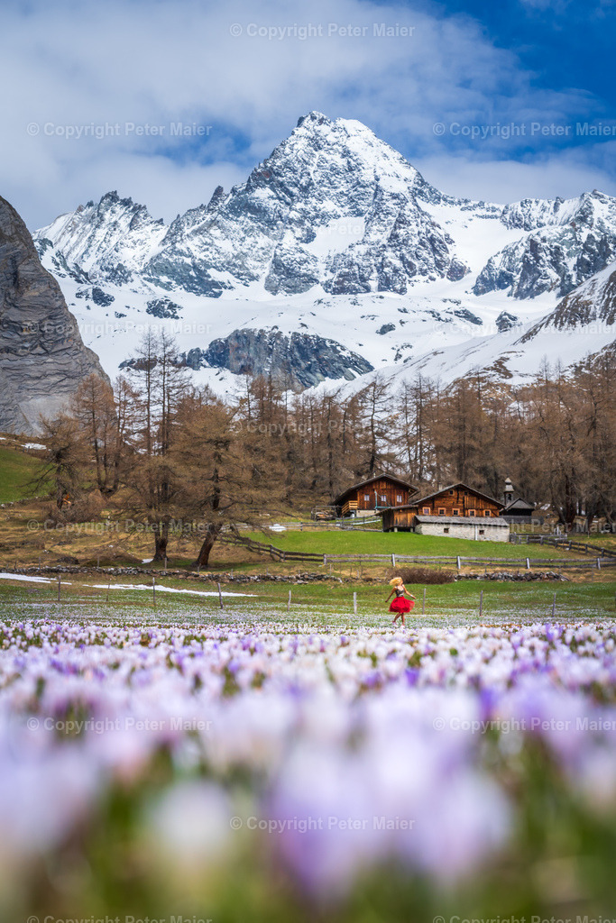 Frühling_Kals_Lucknerhaus_2020-162 | piet_flosse