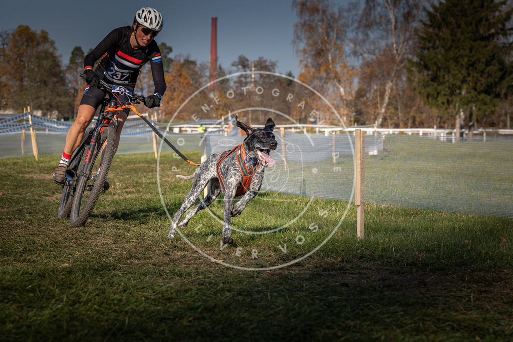 CaniXpix_0L8A6793 | Hundefotografie, Tierfotograf, Pfotenfotografie, Fotoshooting Hund, Hunde Portrait, Hundesport, Hundeportraits, Heideshooting, Hunde, Sportfotograf, Hundefotograf, Turnierhundsport, THS,  - Realisiert mit Pictrs.com