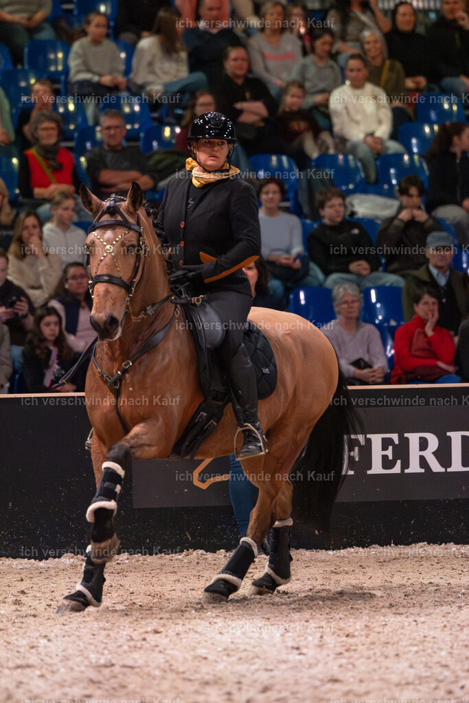 JoseraCup-203 | working equitationturnier fotograf videograf stoibphotography marixx film working equitation deutschland reitsport turnierfotografie eventfotografie equestrian events