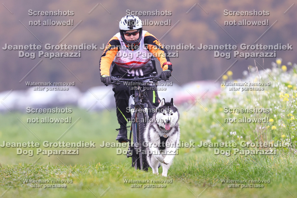 Dog Paparazzi - Visbeck 25 -260 | Dog Paparazzi Jeanette Grottendiek Fotografie & Videografie - Realisiert mit Pictrs.com