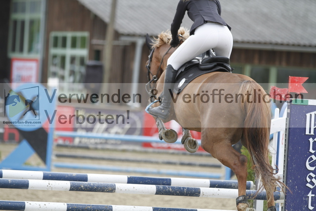 _MG_1769 | equestrian-live-com