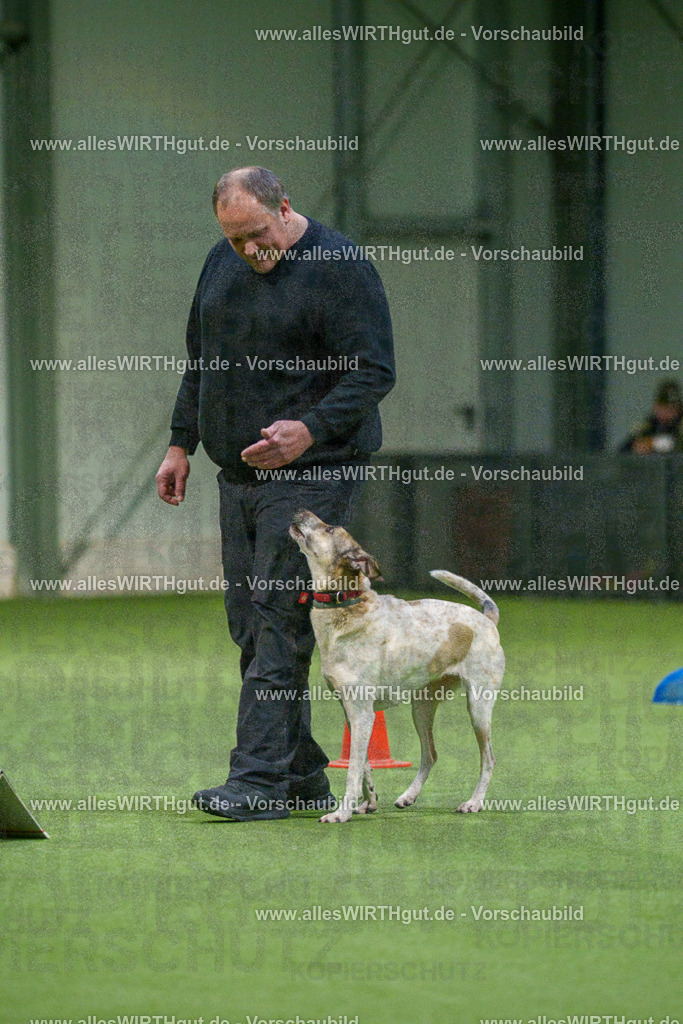7R505328 | Professionelle Tierfotografie in Mönchengladbach von Daniel Wirth (allesWIRTHgut). Liebevolle & natürliche Bilder von Hunden & Katzen für unvergessliche Erinnerungen.