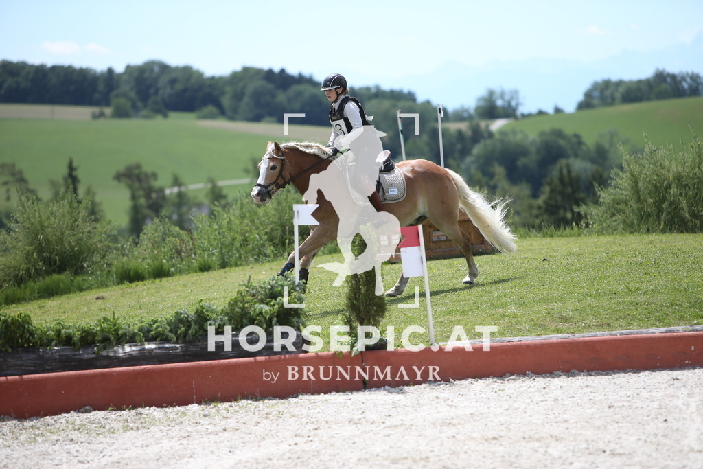 PP014702 | Willkommen bei Brunnmayr - Design & Fotografie – Ihrem Spezialisten für Reitturniere und Pferdeveranstaltungen in Oberösterreich, Salzburg und Bayern! Seit über 17 Jahren sind wir leidenschaftlich dabei.