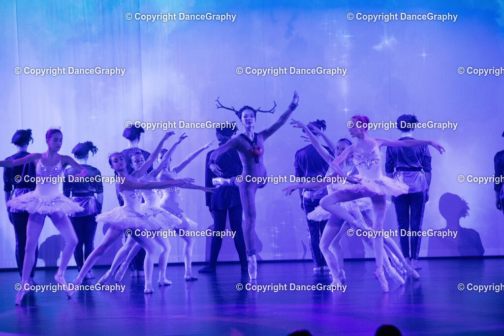 GPHY1734 | DanceGraphy - Realisiert mit Pictrs.com