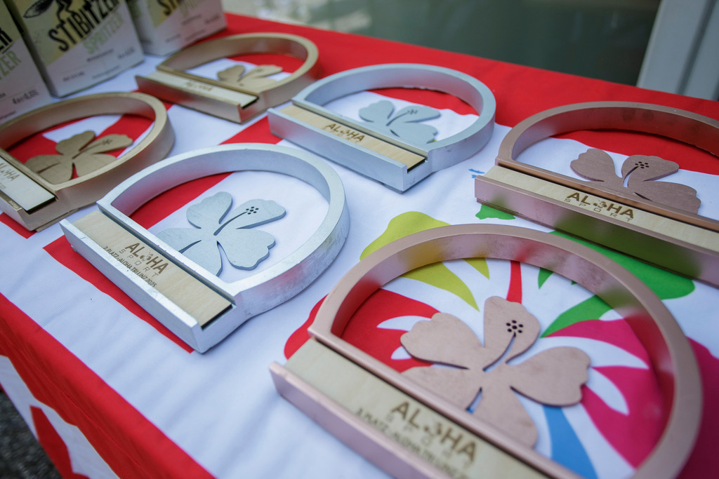 20250706-AW_M5720 | AUSTRIA, 6.07.2025, Linz, ALOHA LINZ TRI Photo: WAPICS / Andreas Willdoner