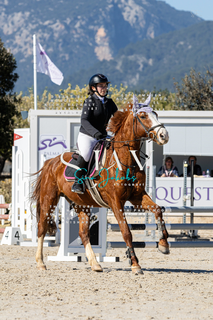 IMG_9325 | s-jay-photography - Realisiert mit Pictrs.com