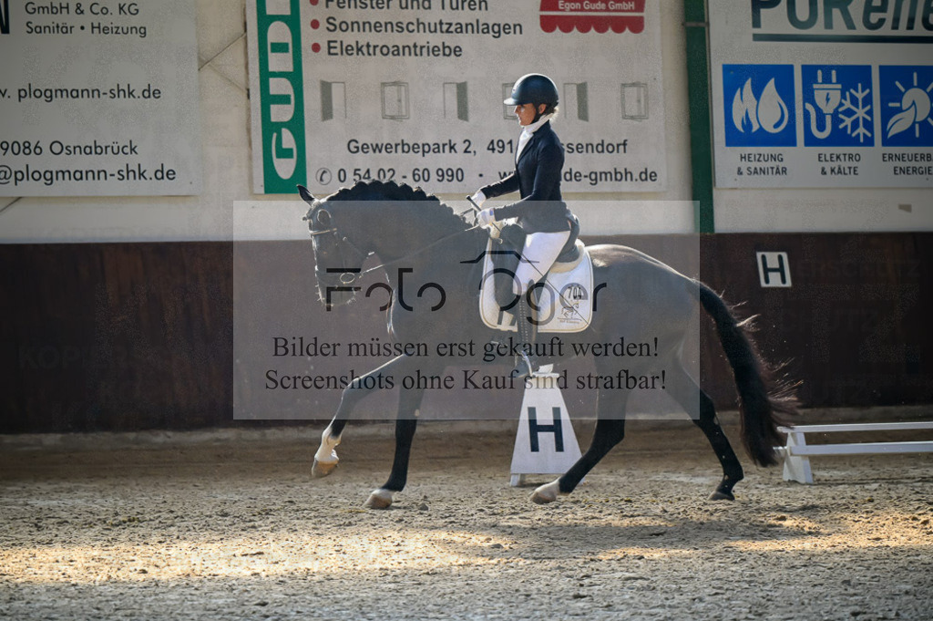 Reitturnier Voxtrup | Entdecke hochwertige Reitturnierfotos von Foto Oger. Professionell, emotional und authentisch – jetzt Lieblingsmomente im Shop bestellen.Deutschlandweite Turnierfotografie. - Realisiert mit Pictrs.com