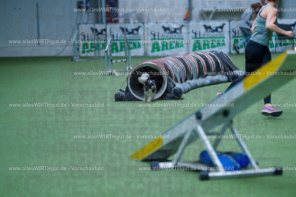 @allesWIRTHgut_Tierfotografie - www.allesWIRTHgut.de - 2604251402-7R504593 | Professionelle Tierfotografie in Mönchengladbach von Daniel Wirth (allesWIRTHgut). Liebevolle & natürliche Bilder von Hunden & Katzen für unvergessliche Erinnerungen.