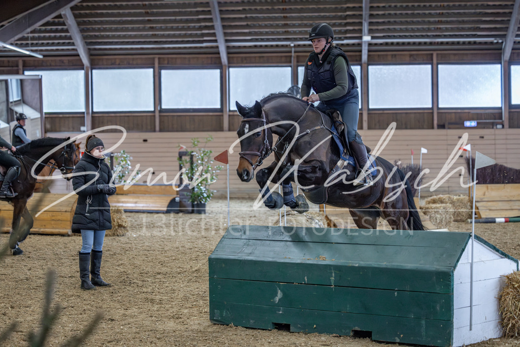 20260221-_3LI0102 | Tierfotografie Pferde, Hunde, Katzen, Haustiere.
Turnierfotografie Reitturniere, Reiten, Springreiten, Dressur in Hanau, dem Main-Kinzig-Kreis und dem Rhein-Main- Gebiet um Frankfurt