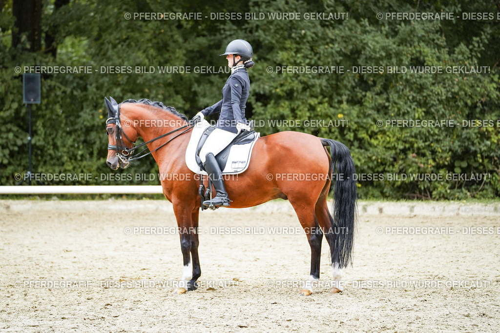 DSC01649 | Pferdegrafie