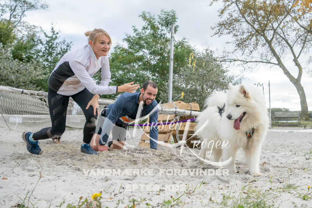 1517_ZZ93997 | kk-dogfotos