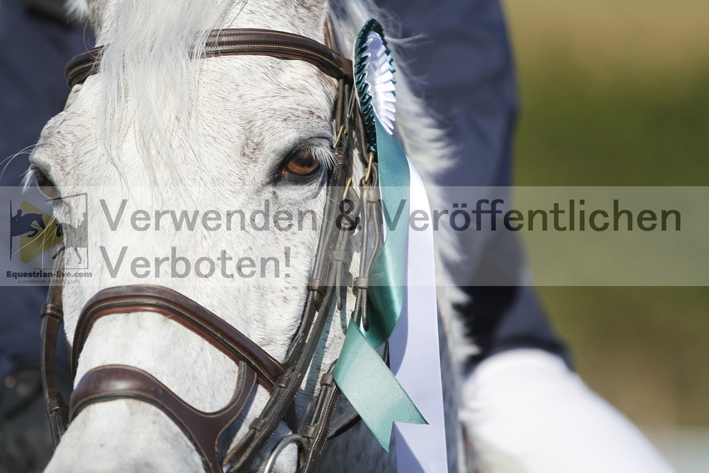 _MG_8210 | equestrian-live-com