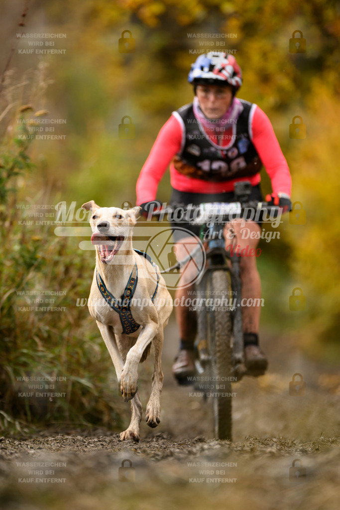 MompixPhotography_ICF_WC_2024_SA_Bike_-138 | PayLife