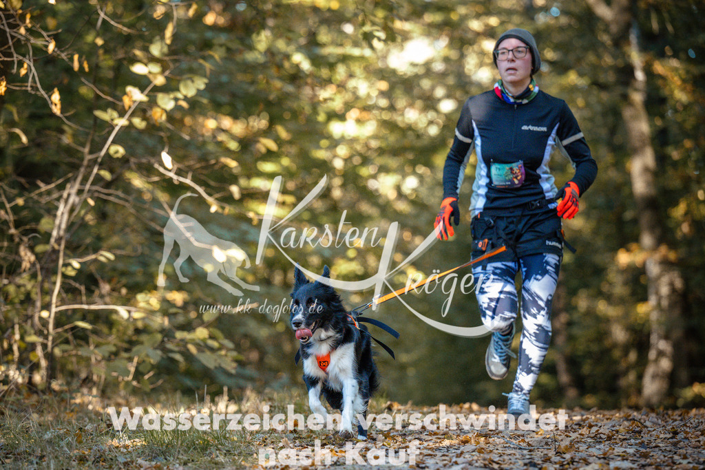 1102_ZZ91414 | kk-dogfotos