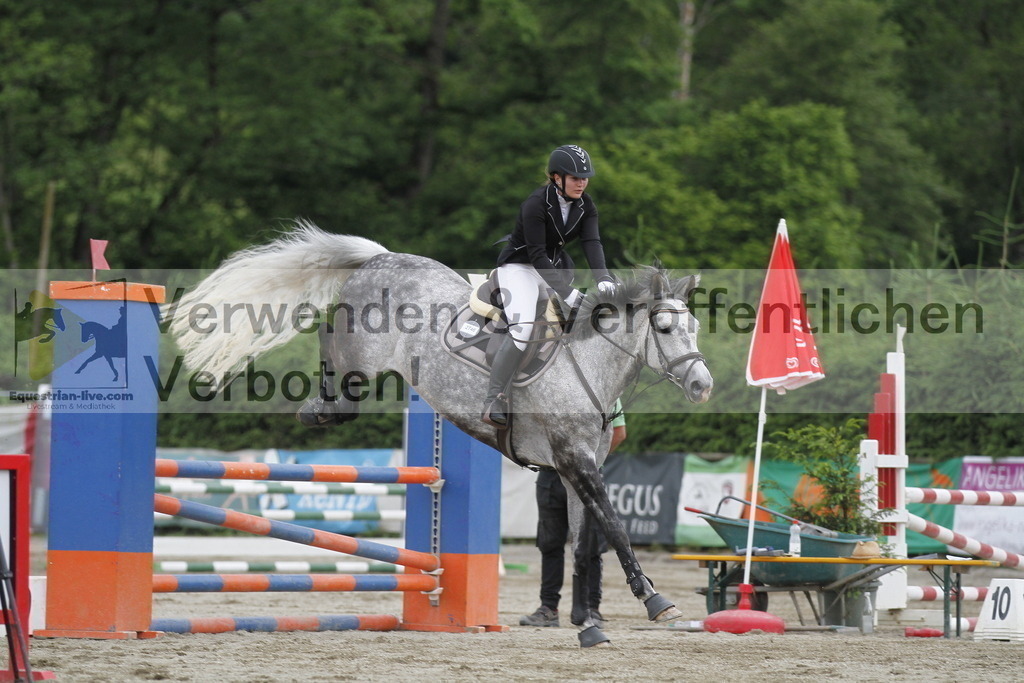 _MG_6437 | equestrian-live-com