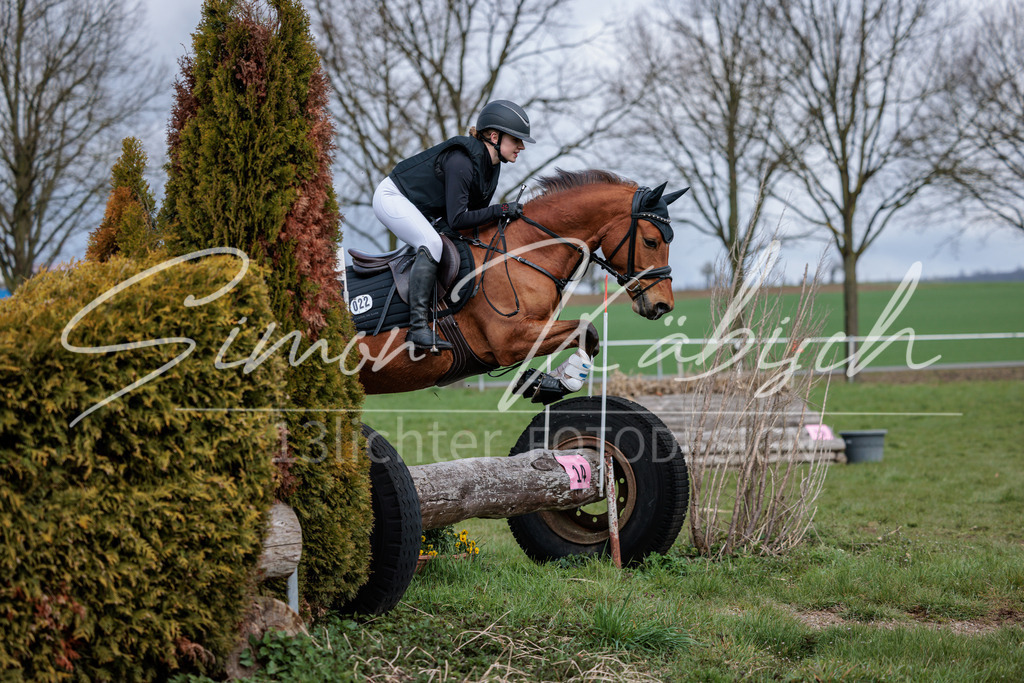 20260329-_3LI4668 | Tierfotografie Pferde, Hunde, Katzen, Haustiere.
Turnierfotografie Reitturniere, Reiten, Springreiten, Dressur in Hanau, dem Main-Kinzig-Kreis und dem Rhein-Main- Gebiet um Frankfurt
