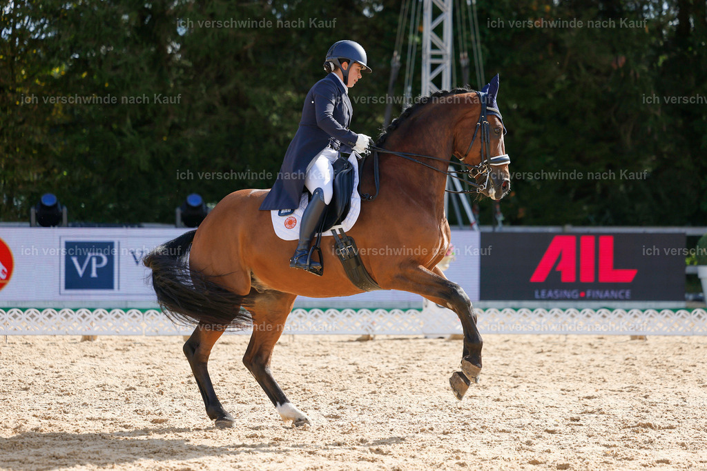 09_2-169-DRESSUR  S_  -StoibPH-5756 | working equitationturnier fotograf videograf stoibphotography marixx film working equitation deutschland reitsport turnierfotografie eventfotografie equestrian events