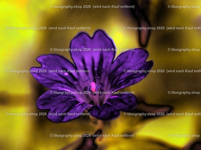 titusgraphy-P6080430_var-095 | Fotokunstarbeit aus der INSTAGRAM-Gallerie auf titusgraphy.eu - Realisiert mit Pictrs.com