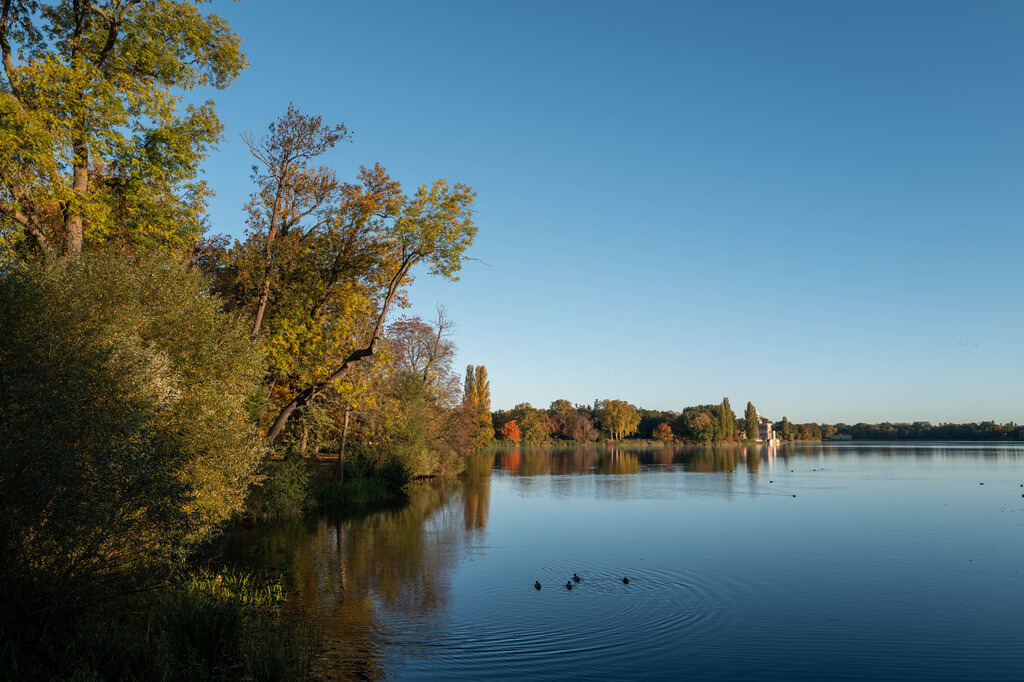 Potsdam (12) | hgt-foto