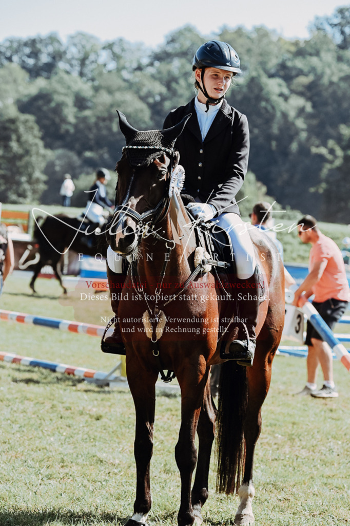 DSC_6203 | Pferde- und Turnierfotografie in Westsachsen. Pferdeportraits, Auftragszeichnungen und intuitive Kunst.