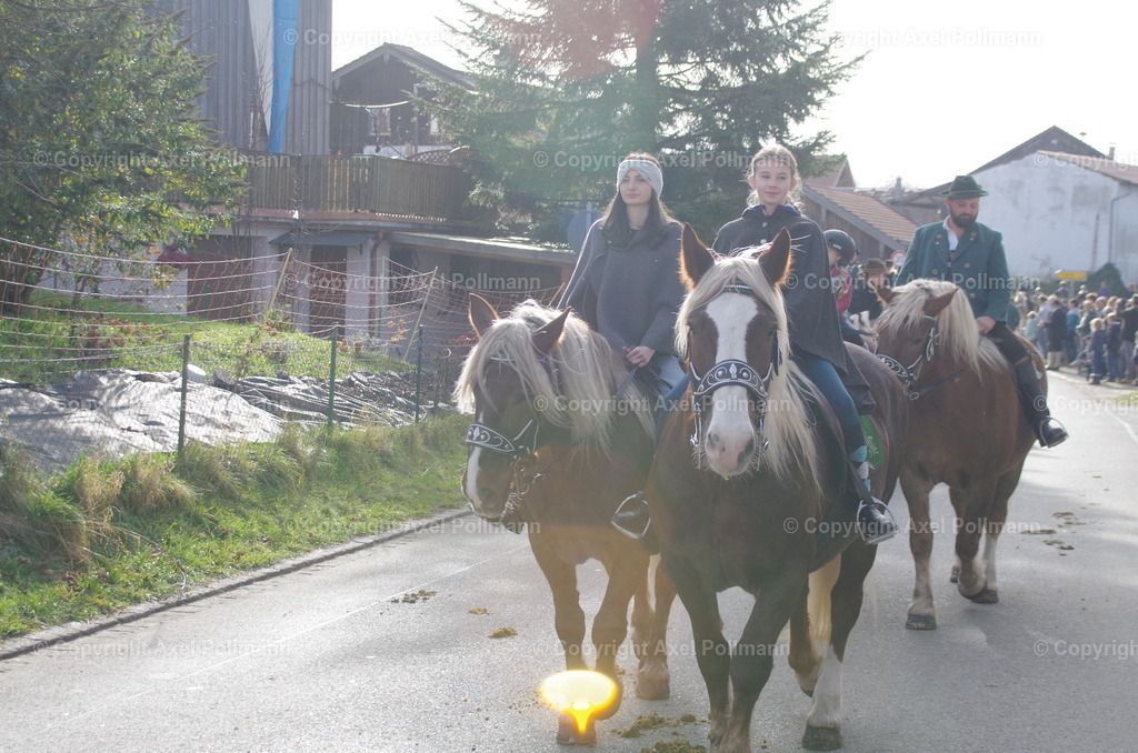 IMGP0999 | fotografiert von Axel PollmannLeonhardi Wallfahrt Benediktbeuern und Murnau, Fronleichnam, Fasching, Landschaft im Loisachtal und Benediktbeuern  - Realisiert mit Pictrs.com