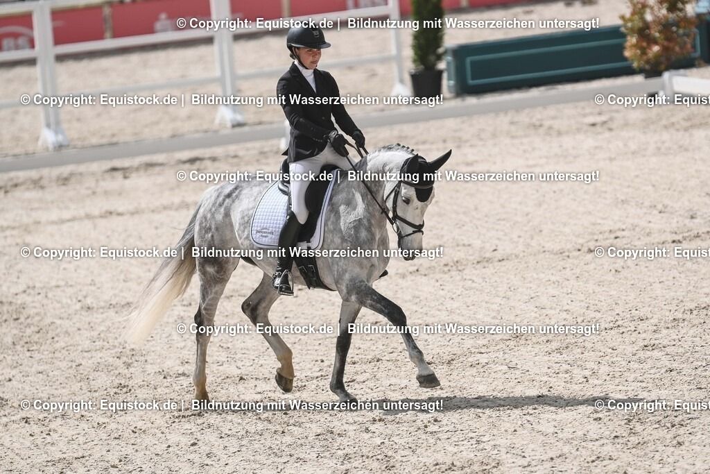20250516_CCI2_Dressur_0520 | Foto: Thomas Hartig