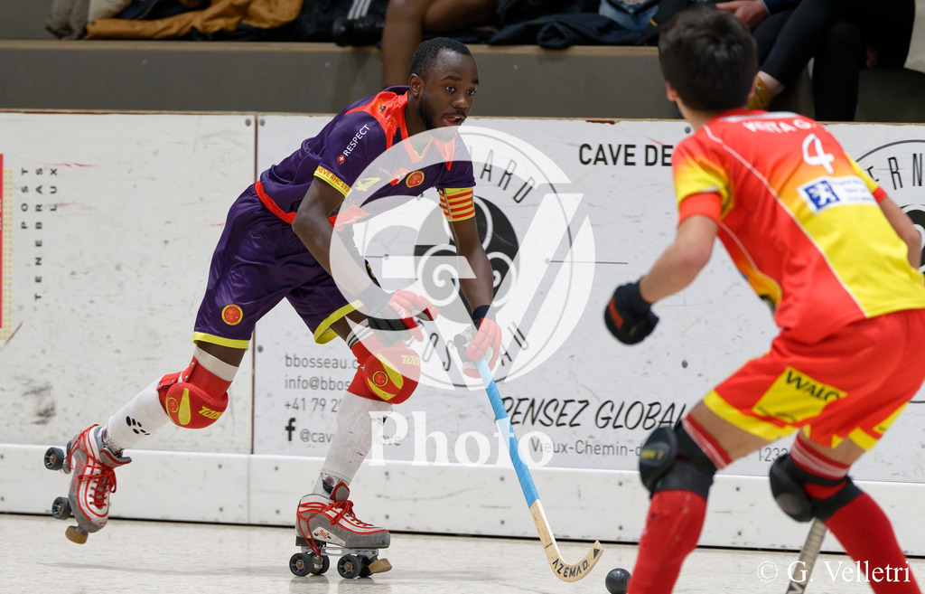 DSC_6397 | Velletri Photo