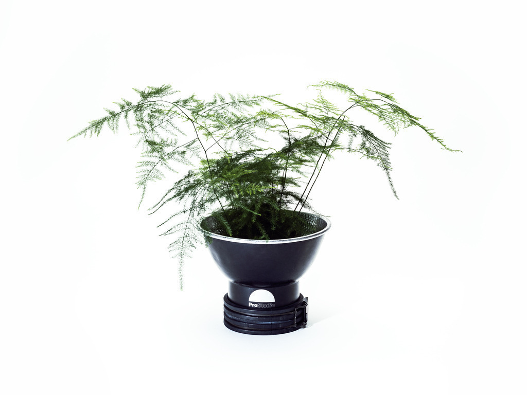 Job_0067-Bearbeitet2 | AHORN PHOTOGRAPHY - Realizzato con Pictrs.com