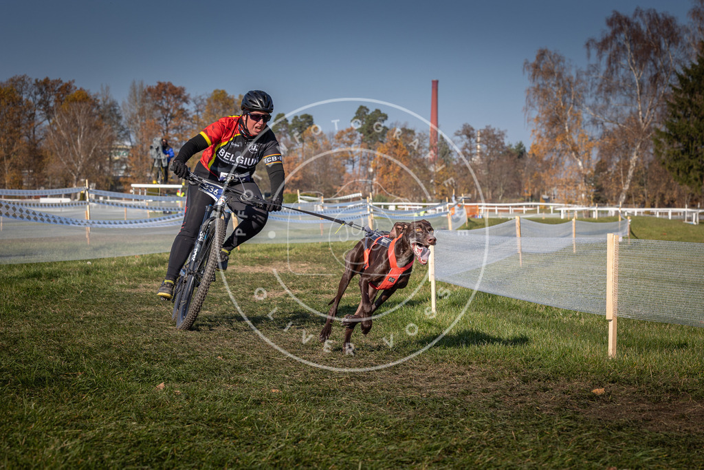 CaniXpix_0L8A7445 | Hundefotografie, Tierfotograf, Pfotenfotografie, Fotoshooting Hund, Hunde Portrait, Hundesport, Hundeportraits, Heideshooting, Hunde, Sportfotograf, Hundefotograf, Turnierhundsport, THS,  - Realisiert mit Pictrs.com