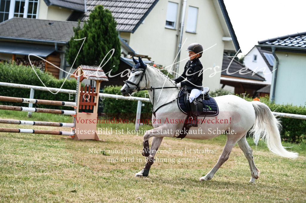 DSC_9612 | Pferde- und Turnierfotografie in Westsachsen. Pferdeportraits, Auftragszeichnungen und intuitive Kunst.