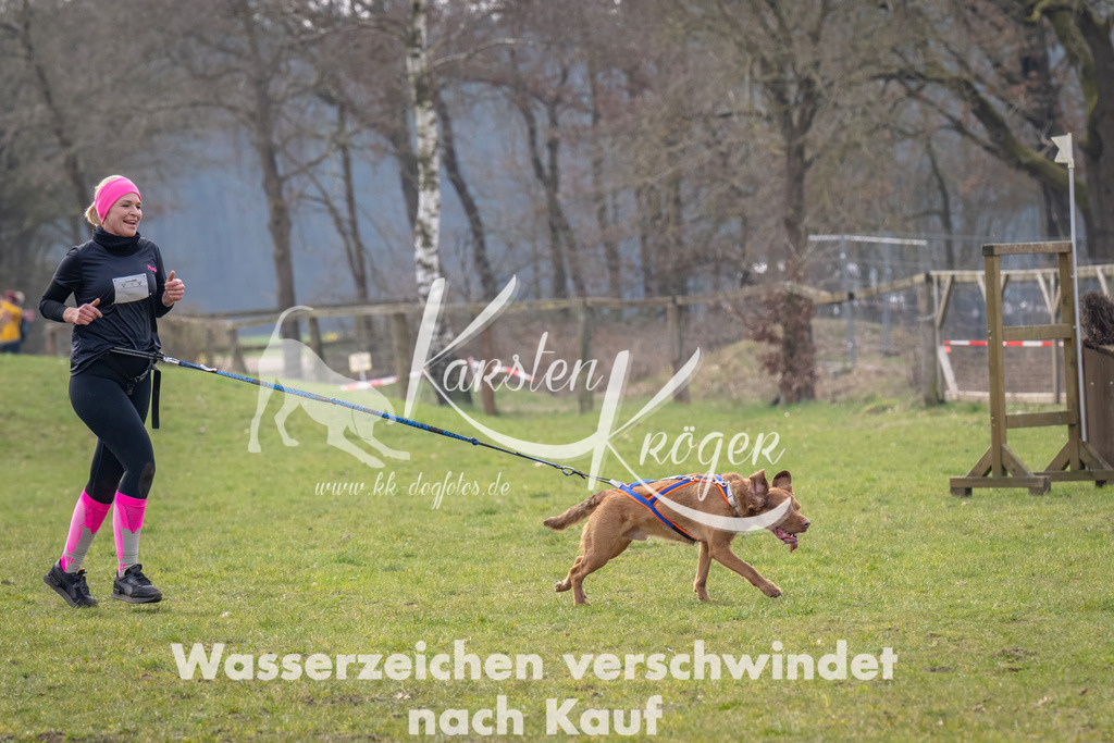 _ZZ93504-Bearbeitet | kk-dogfotos