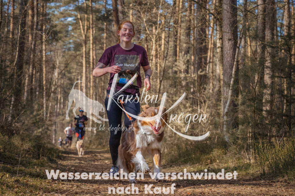 1238_ZZ93969-Bearbeitet | kk-dogfotos