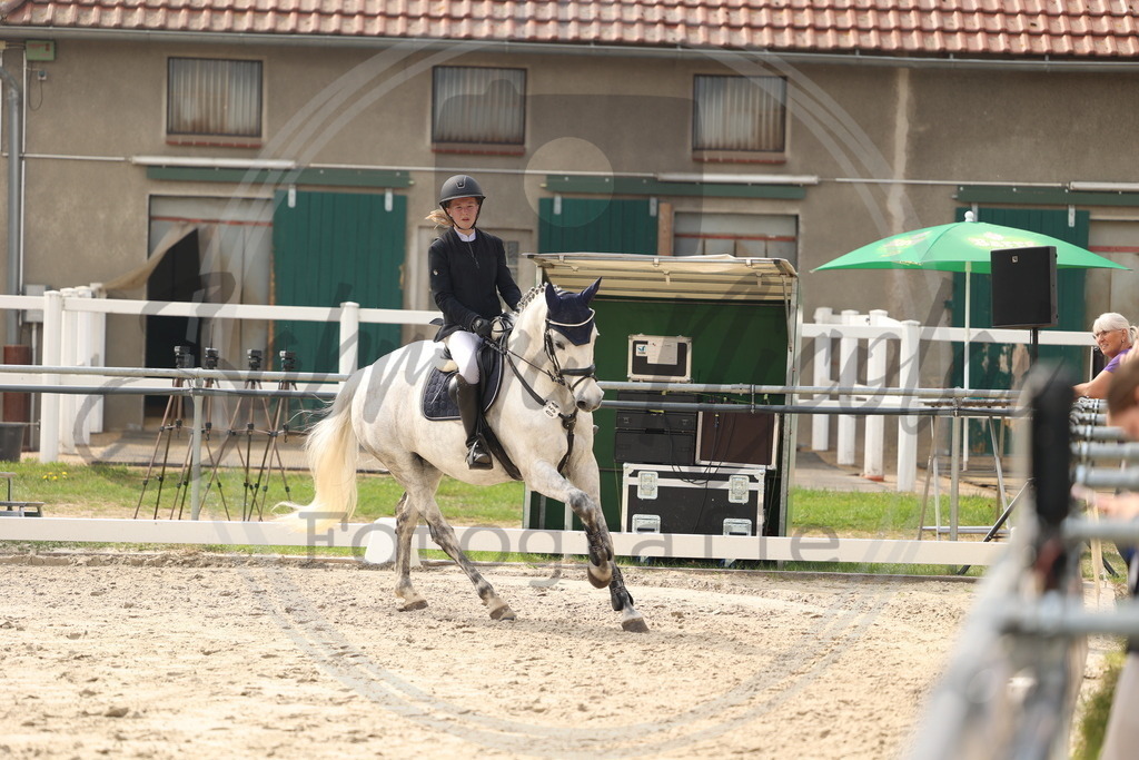 994A7679 | sabrinanicolaifotografie - Realisiert mit Pictrs.com