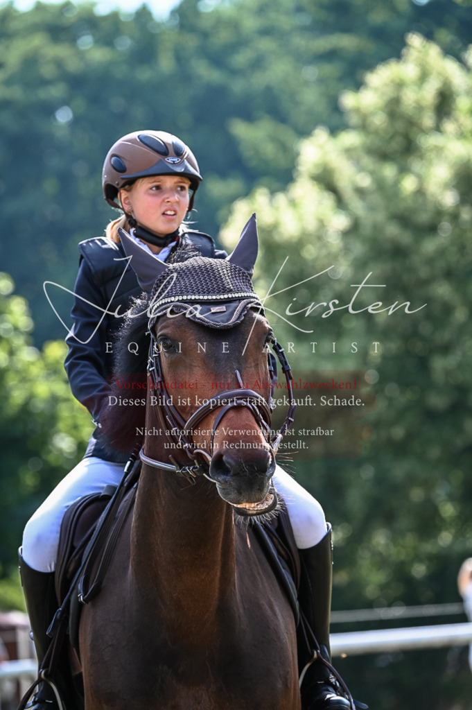 DSC_7971 | Pferde- und Turnierfotografie in Westsachsen. Pferdeportraits, Auftragszeichnungen und intuitive Kunst.