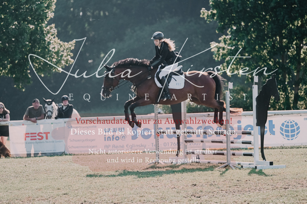 DSC_4535 | Pferde- und Turnierfotografie in Westsachsen. Pferdeportraits, Auftragszeichnungen und intuitive Kunst.