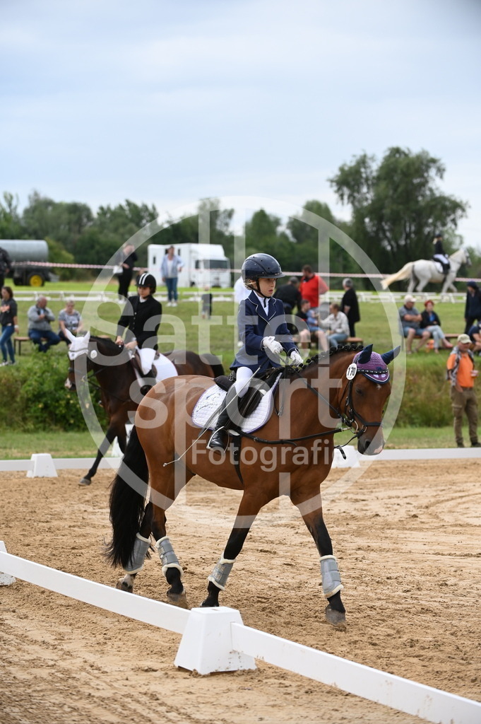 DSC_5620 | sattelsport - Realisiert mit Pictrs.com