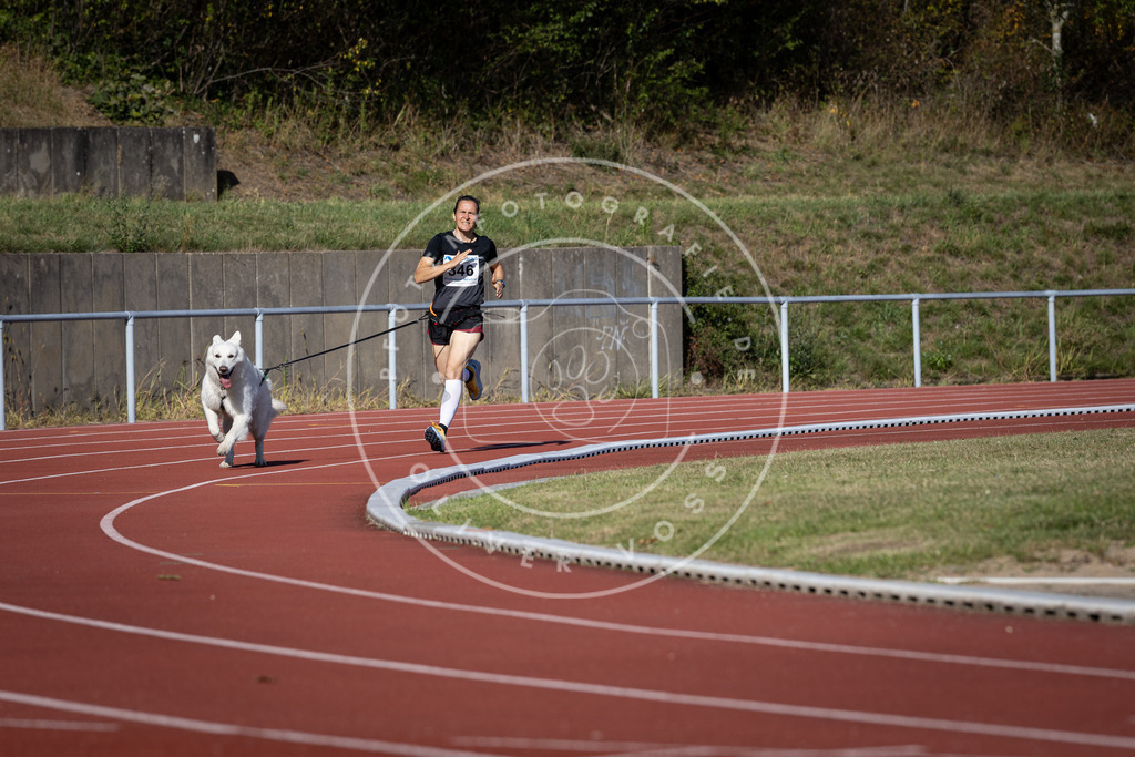 Pfotenfotografie_DV3A8939 | Hundefotografie, Tierfotograf, Pfotenfotografie, Fotoshooting Hund, Hunde Portrait, Hundesport, Hundeportraits, Heideshooting, Hunde, Sportfotograf, Hundefotograf, Turnierhundsport, THS,  - Realisiert mit Pictrs.com