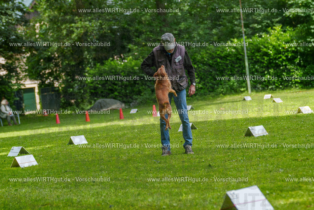@allesWIRTHgut_Tierfotografie - www.allesWIRTHgut.de - 7R504265 | Professionelle Tierfotografie in Mönchengladbach von Daniel Wirth (allesWIRTHgut). Liebevolle & natürliche Bilder von Hunden & Katzen für unvergessliche Erinnerungen.