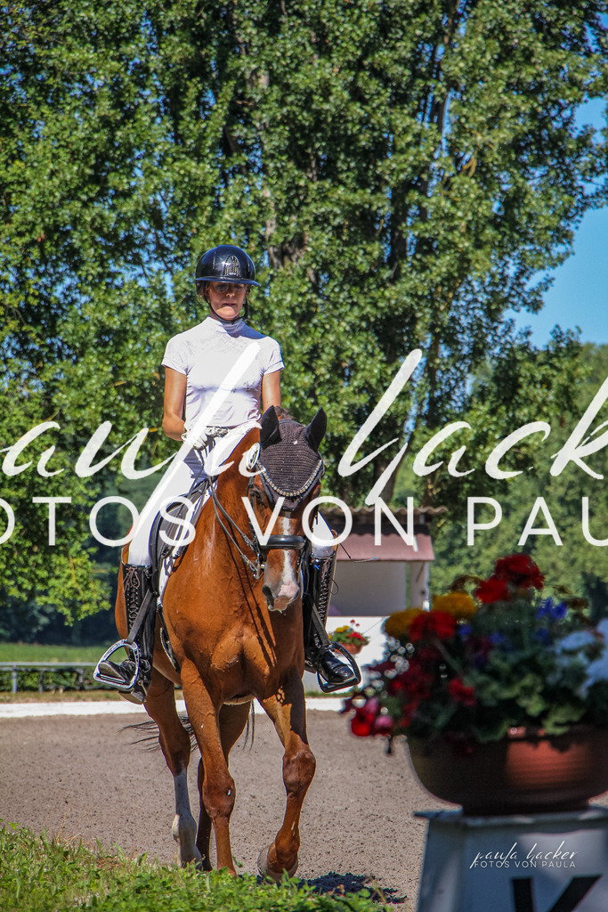 IMG_0234 | Erleben Sie dynamische Sport- und emotionale Tierfotografie in Süddeutschland mit Fotos von Paula. Spezialisiert auf Pferde- und Hundefotografie sowie Sportevents. Kontaktieren Sie mich für einzigartige und ausdrucksstarke Bilder Ihrer besonderen Momente. - Realisiert mit Pictrs.com