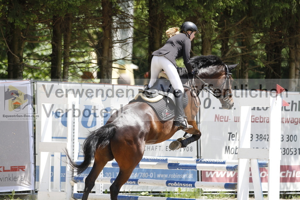 _MG_1979 | equestrian-live-com